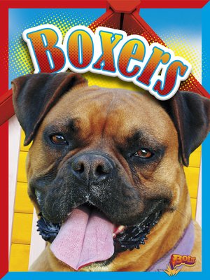 cover image of Boxers